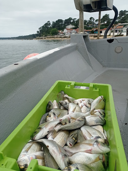 Nelayan Bateau De Pêche, Poissonnerie à Lège-Cap-Ferret