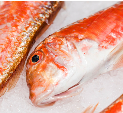 Lv Marée, Poissonnerie à Orange